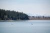 Calgary Glenmore reservoir